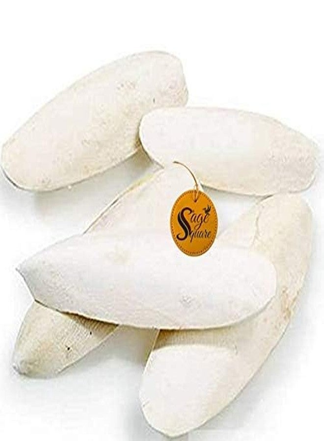 سايج سكوير سيج سكوير مصدر الكالسيوم الطبيعي، عظم الحبار، مكعب معدني طبيعي، كالسيوم للسلاحف (250 غرام) - Image 4